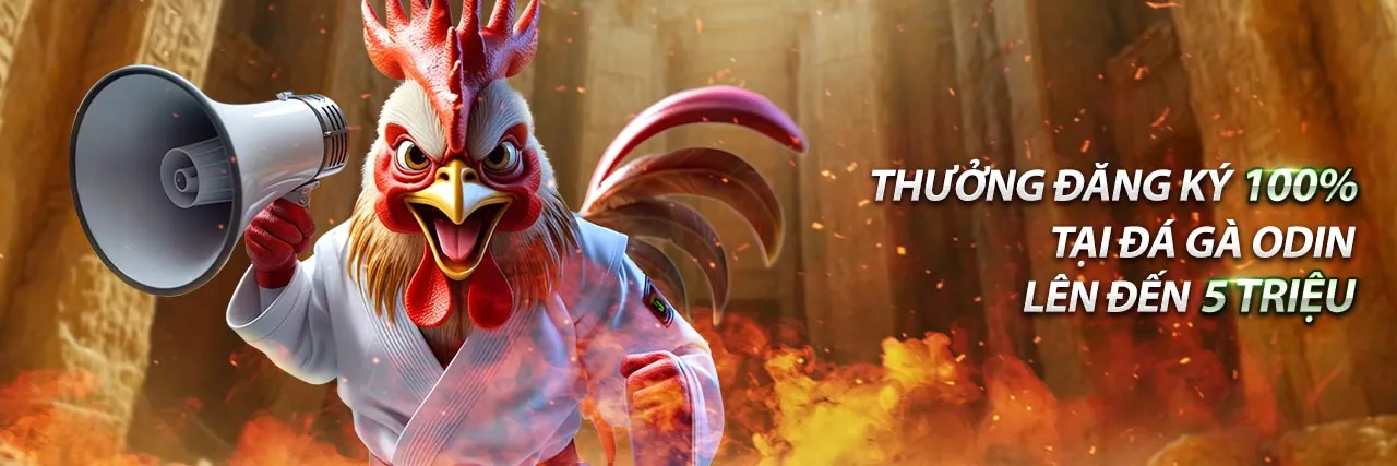 Hình ảnh minh họa Tuân thủ GDPR và bảo vệ dữ liệu tại af88